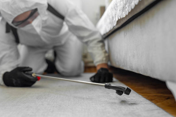 Professional Bed Bug Control technician working in Franklin, VA