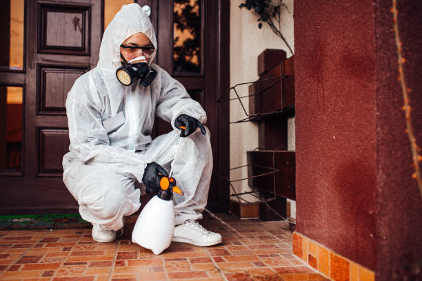 Reliable Bed Bug Control contractor in Franklin, VA by Nex Pest Control